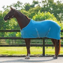 Chemise Polaire Color Q-essentials