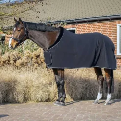 Chemise polaire Salerno QHP