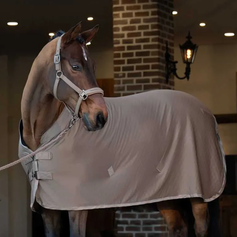 Chemise séchante Jersey Aerial Eskadron Platinium Edition