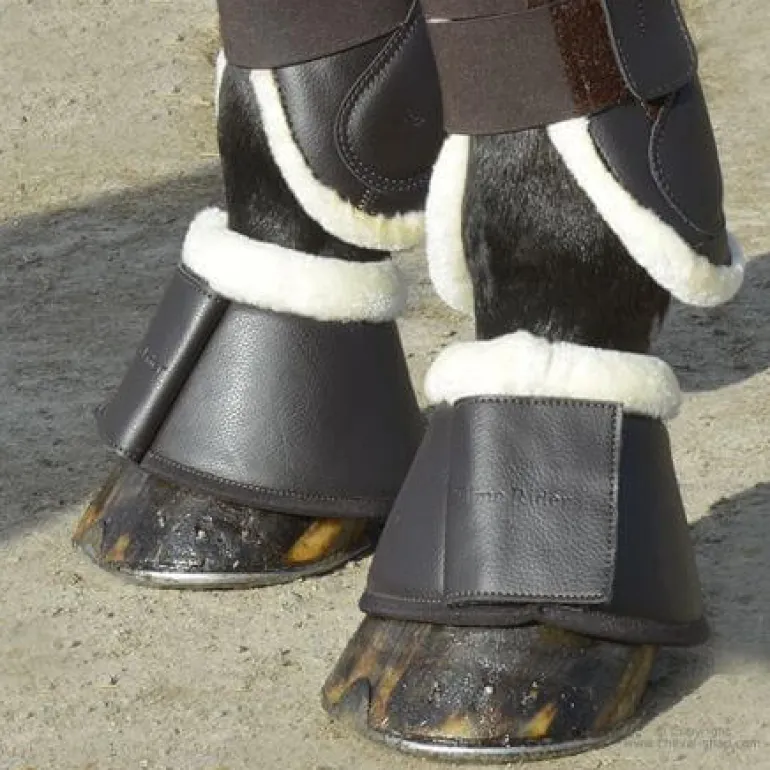 Cloches mouton Stationata