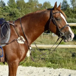 Collier de chasse 5 points mouton Stationata