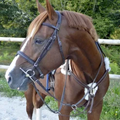 Collier de chasse 5 points mouton Stationata