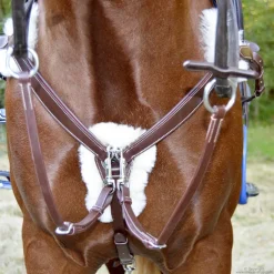 Collier de chasse 5 points mouton Stationata