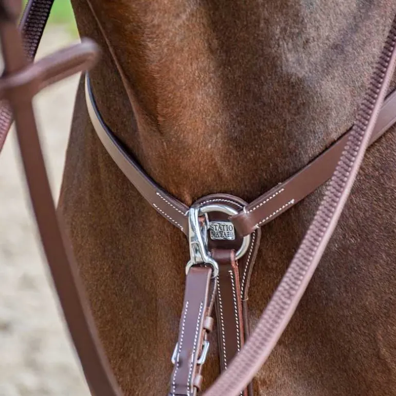 Collier de chasse 3 points Stationata