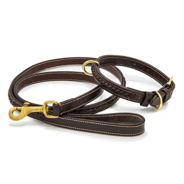 Collier tressé pour petit chien Chetak
