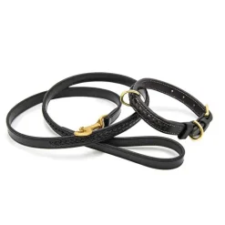 Collier tressé pour petit chien Chetak