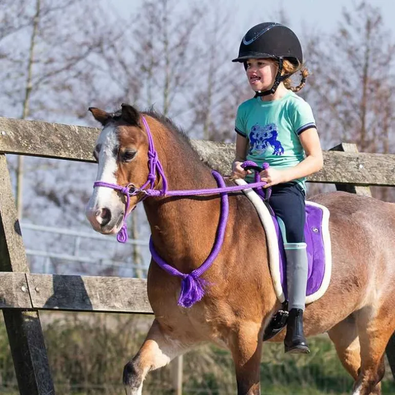 Cordelette Color QHP