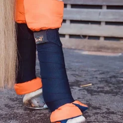 Cotons américains T de T