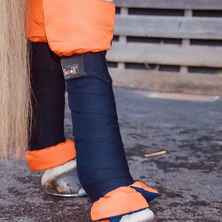 Cotons américains T de T