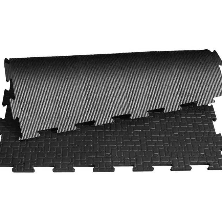 Couloir d'écurie et douche Belmondo Walkpro