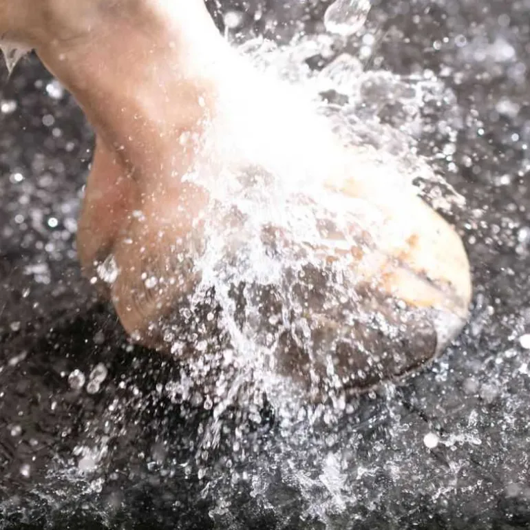 Couloir d'écurie et douche Belmondo Walkpro