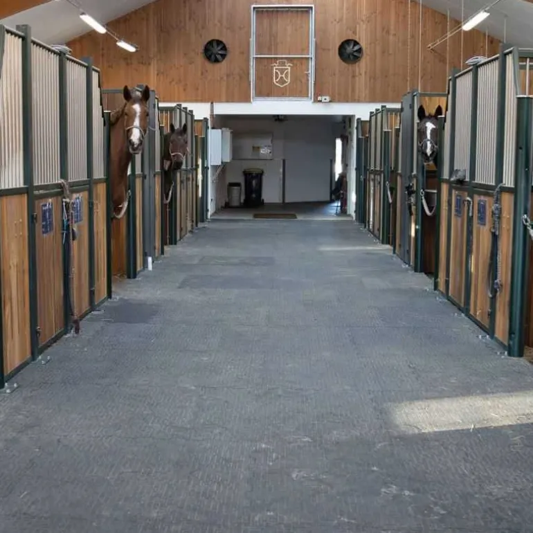 Couloir d'écurie et douche Belmondo Walkpro