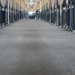 Couloir d'écurie et douche Belmondo Walkpro