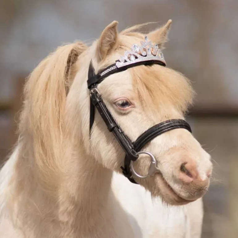 Couronne pour frontal QHP