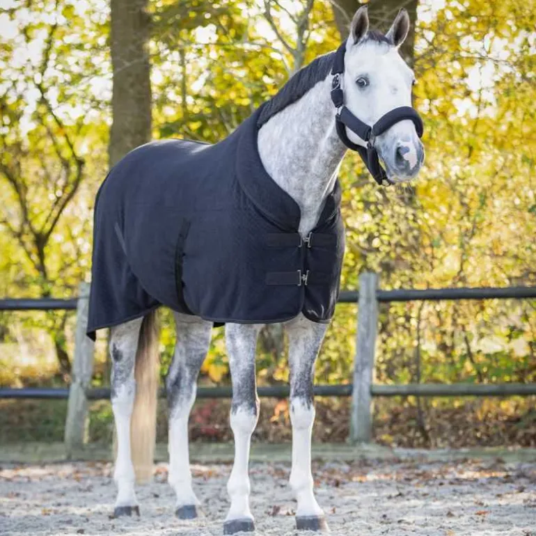 Couverture de Show Zahra QHP