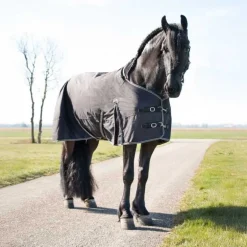 Couverture d'extérieur 0g Big neck QHP