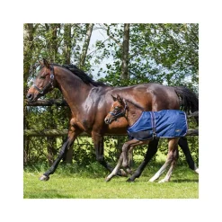 Couverture extérieure foal 100gr QHP