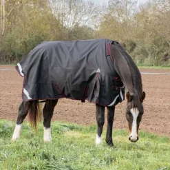 Couverture imperméable 100g 1200D HORSE&GO