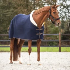 Couverture laine Deluxe QHP