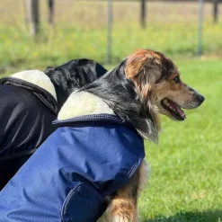 Couverture pour chien Jamsa Flags & Cup