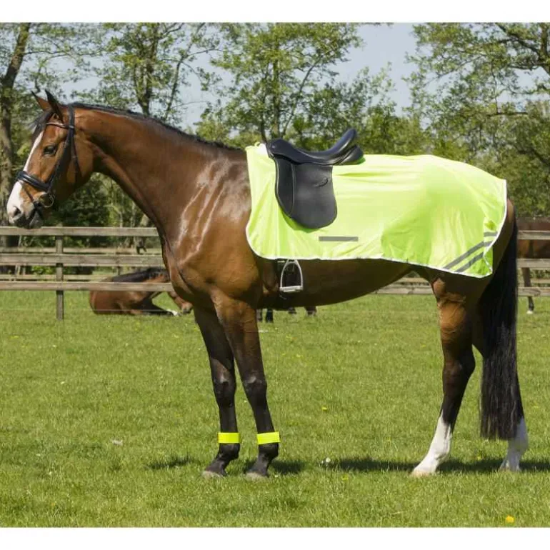 Couvre reins réfléchissant QHP
