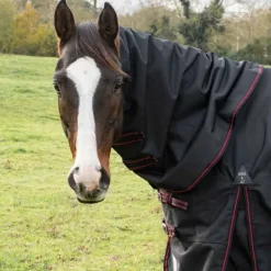 Couvre-cou imperméable 100g HORSE&GO