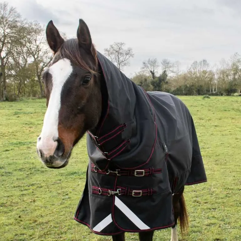 Couvre-cou imperméable 100g HORSE&GO