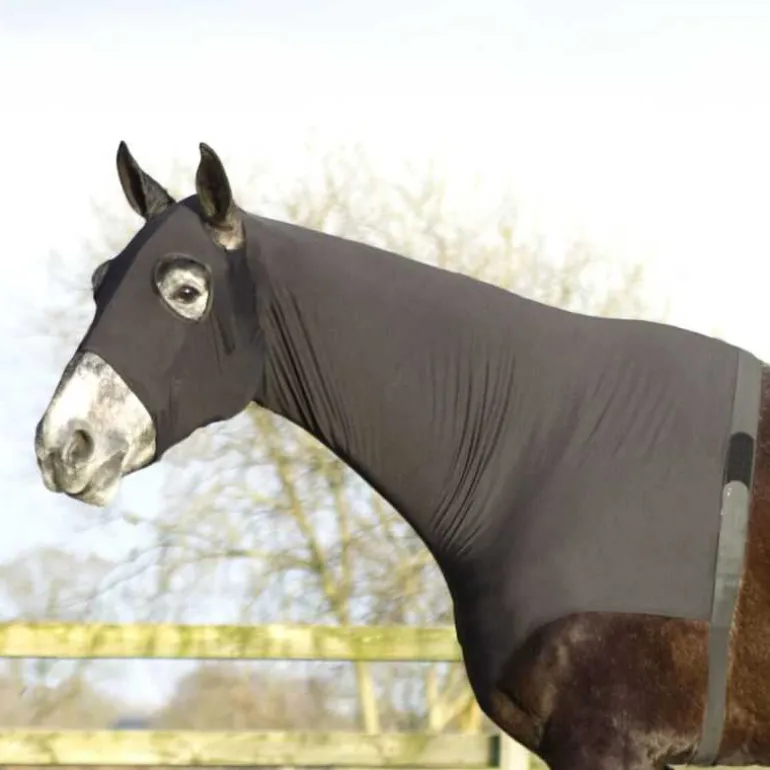 Couvre-cou élastique Q-essentials