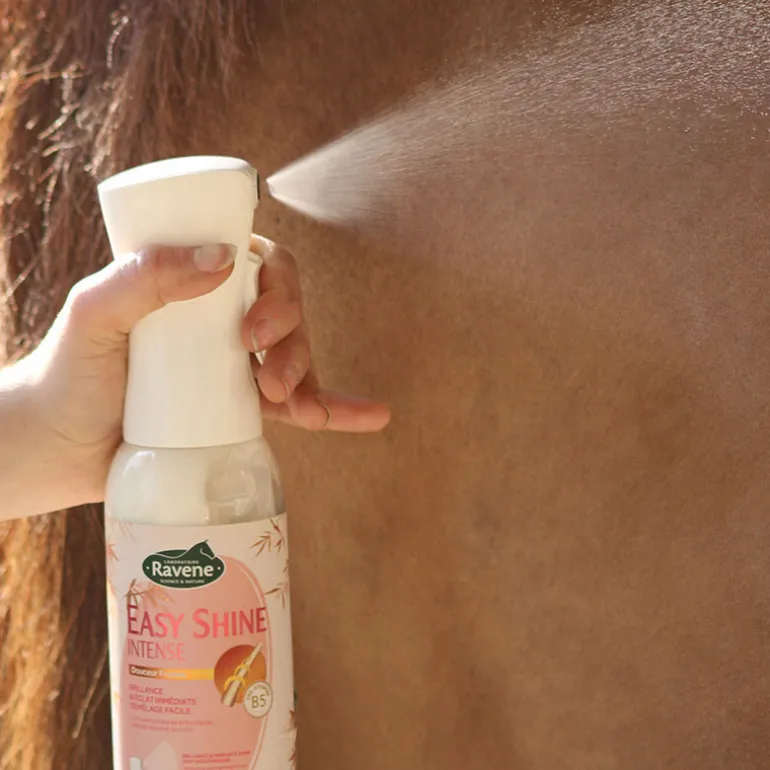 Easy Shine Intense Ravene Démêlant lustrant