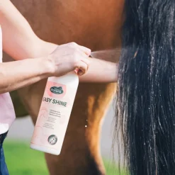 Easy Shine lustrant Ravene