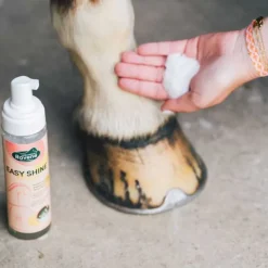 Easy Shine Mouss Ravene - Détachant