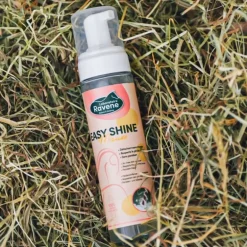 Easy Shine Mouss Ravene - Détachant