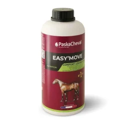 Easy'Move Locomotion Paskacheval