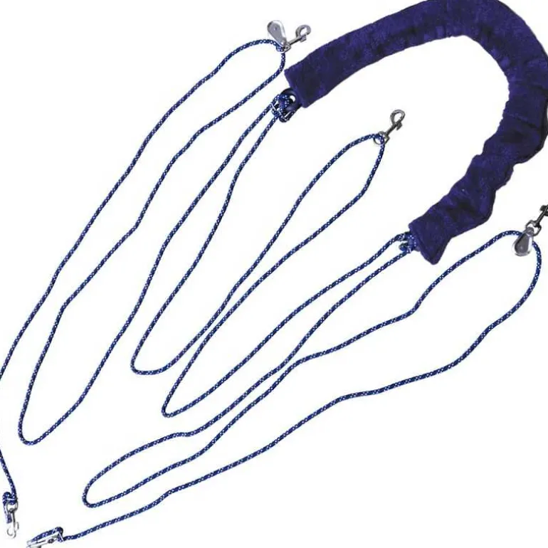 Enrênement corde Privilège Canter