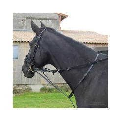 Enrênement Thiedemann Stationata