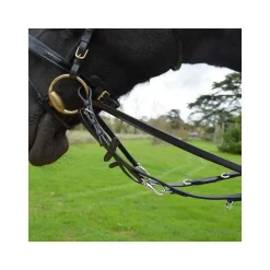 Enrênement Thiedemann Stationata