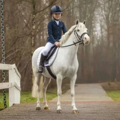 Ensemble de selle complet Melbourne QHP