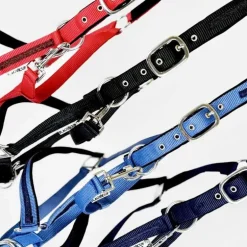 Ensemble licol + longe Atamik Flags&Cup