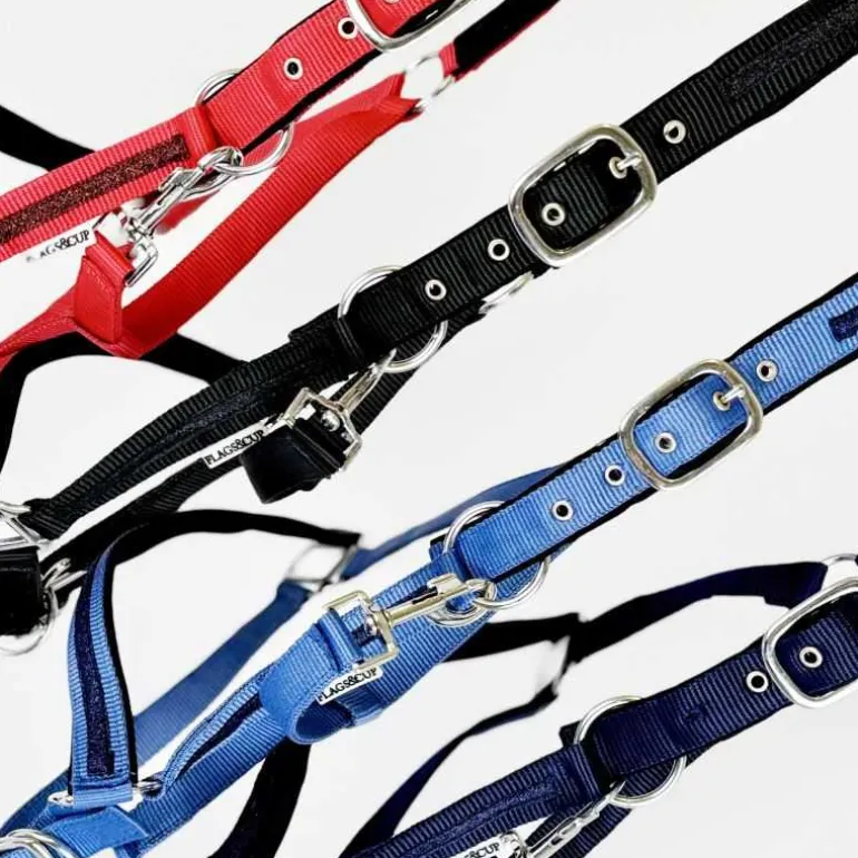 Ensemble licol + longe Atamik Flags&Cup