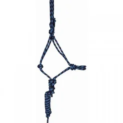 Ensemble licol + longe éthologique T de T