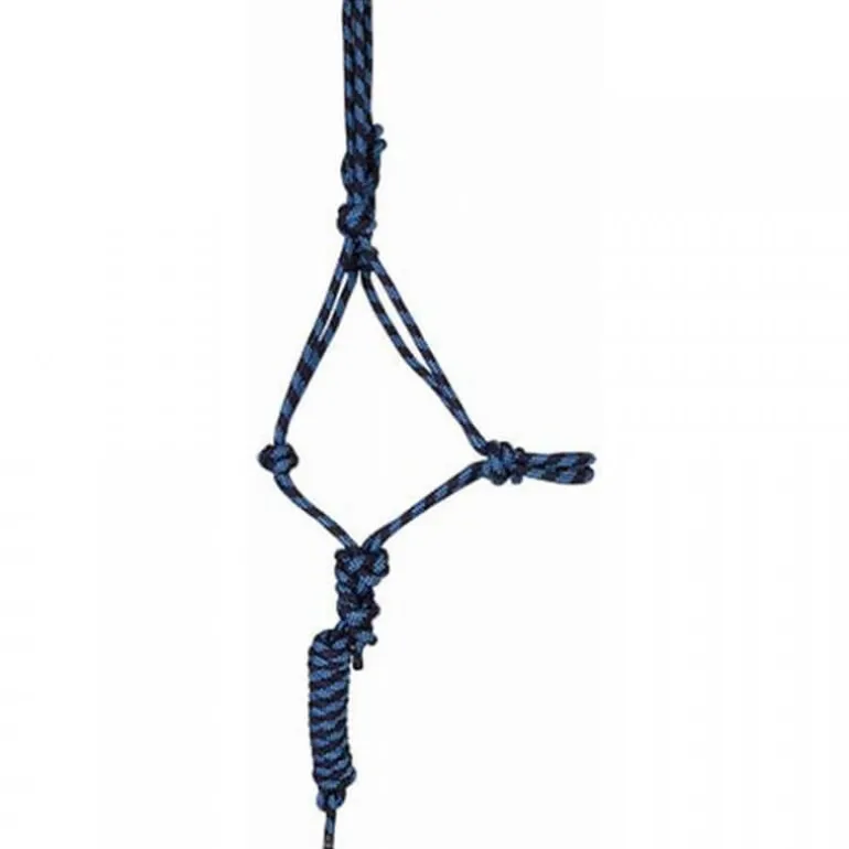 Ensemble licol + longe éthologique T de T