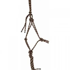 Ensemble licol + longe éthologique T de T