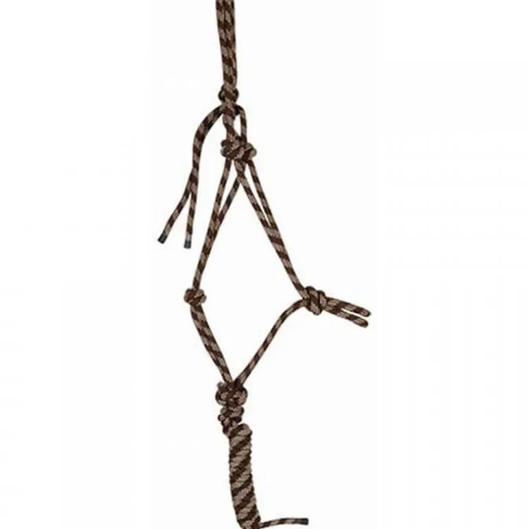 Ensemble licol + longe éthologique T de T