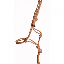 Ensemble licol + longe éthologique T de T