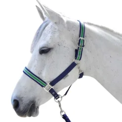 Ensemble licol et longe Doulovo Flags&Cup