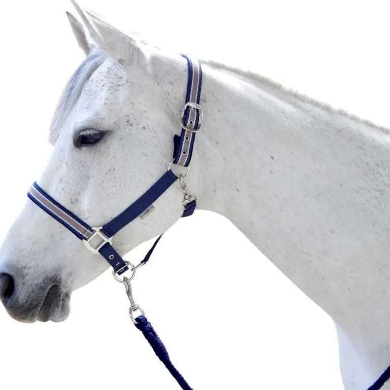 Ensemble licol et longe Doulovo Flags&Cup