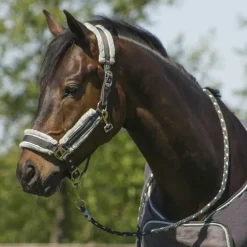 Ensemble licol fourré et longe Dolci QHP