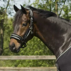 Ensemble licol fourré et longe Dolci QHP