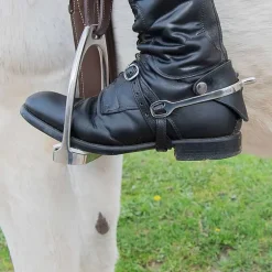 Eperons prince de Galles Stationata