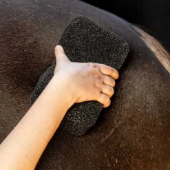 Eponge super shiner QHP